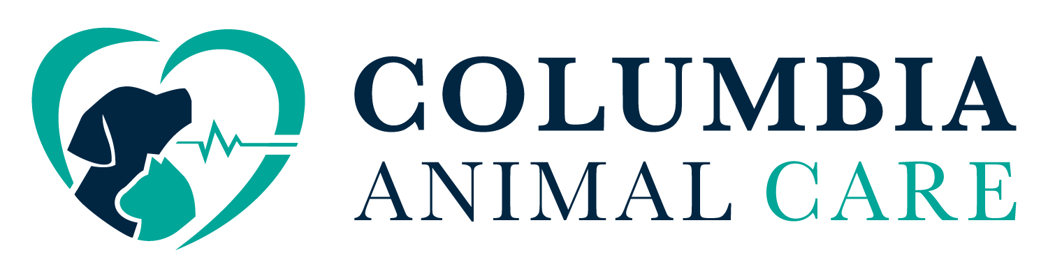 Howard County Clinic Cuts Veterinary Specialist Wait Times